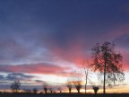Alba a Staffarda Alba a Staffarda