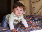 A 4 zampe A 4 zampe