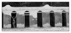 palmi_06 palmi_06