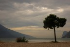 quiete al lago quiete al lago