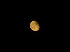 A' luna rossa A' luna rossa