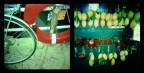 Holga #3 Holga #3