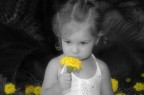come un fiore come un fiore