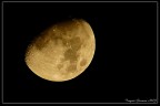 La luna.. La luna..
