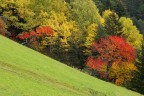 Autunno infuocato Autunno infuocato