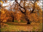 l'autunno l'autunno