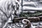 Amore a prima vista Amore a prima vista