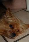 Furbetto... Furbetto...