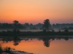 Alba Alba