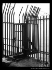 Limitazione Limitazione