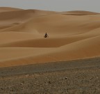 raid raid