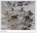 L'attesa L'attesa