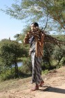 Myanmar - Young girl with wood and macete Myanmar - Young girl with wood and macete