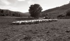 paesaggio naturalistico2 paesaggio naturalistico2