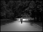 Walking In The Park Walking In The Park