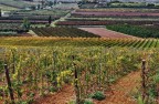 Autunno a Bertinoro