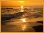 L'oro del mattino. L'oro del mattino.