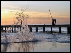 Pescando Pescando