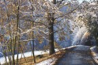 Prima neve Prima neve