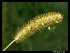 tra le ragnatele tra le ragnatele