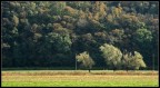 autumn #1 autumn #1