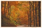 La strada tra i colori La strada tra i colori