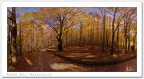 Faggeta (Stitch Panoramico) Faggeta (Stitch Panoramico)