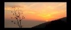 Semplice tramonto Semplice tramonto