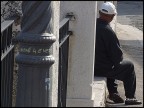 Siesta Siesta