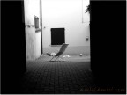 riposo e gioco riposo e gioco