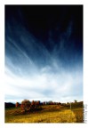 Falling sky Falling sky