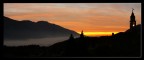 nebbia bassa prima dell'alba nebbia bassa prima dell'alba