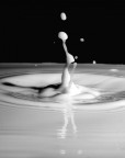 milk milk
