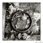 quadratura del cerchio