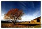 Landscape Landscape