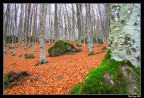Autunno Autunno