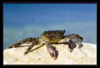 Voglia di mare Voglia di mare