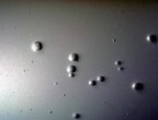 Sistema Solare Sistema Solare