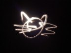 Gatto di luce :P