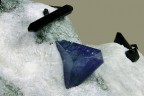 Benitoite con Neptunite