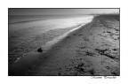 mare d'inverno mare d'inverno