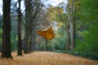 Autunno.... Autunno....