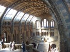 Interno del museo di scienze naturali