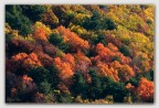 300mm di autunno. 300mm di autunno.