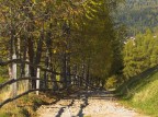 Autunno Autunno