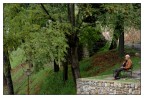Riflettendo al parco Riflettendo al parco