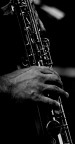 sex with sax sex with sax