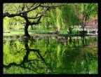 Parco Sempione - Milano Parco Sempione - Milano