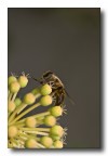 primo contatto con la natura primo contatto con la natura