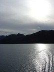 Swimming in a silver world Swimming in a silver world